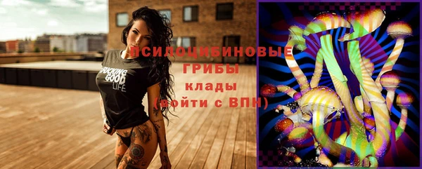 кокс Алексин