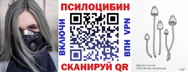 ссылка на мегу как зайти  мориарти состав  Галлюциногенные грибы Psilocybe  Иваново 