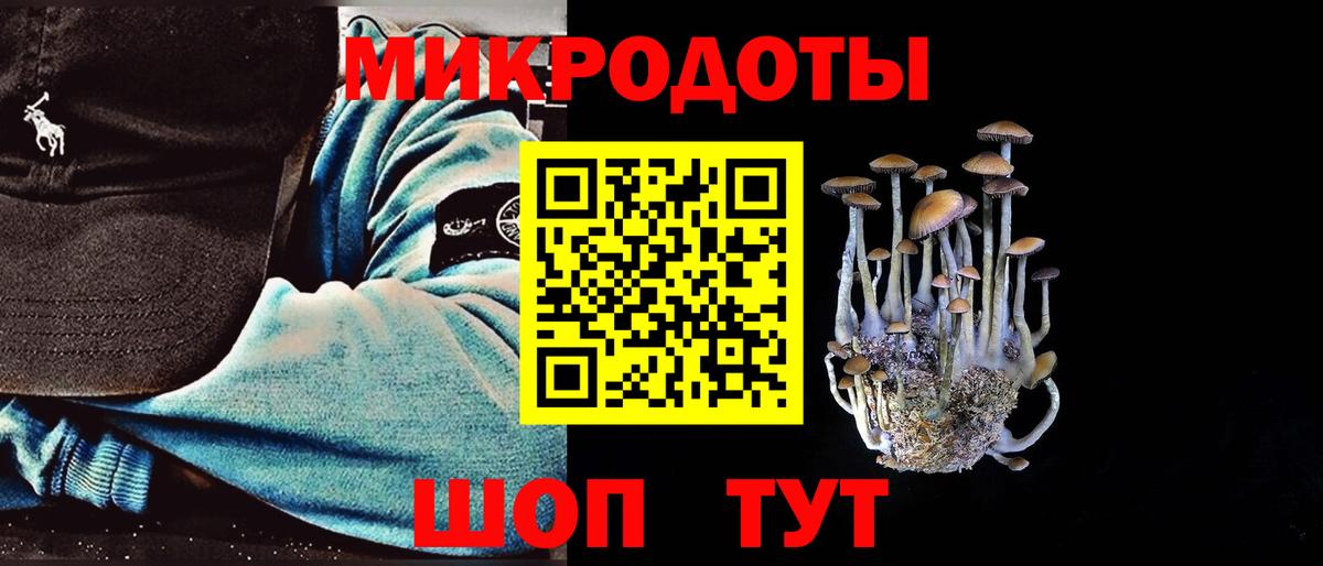 Псилоцибиновые грибы Cubensis Иваново