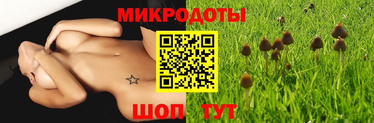 Псилоцибиновые грибы мицелий  Вход с VPN  Иваново 