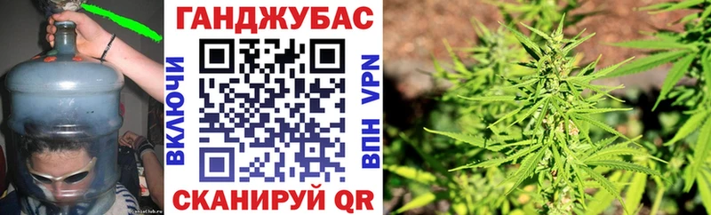 Конопля сатива Иваново